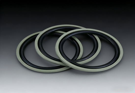 Glyd ring and step seal